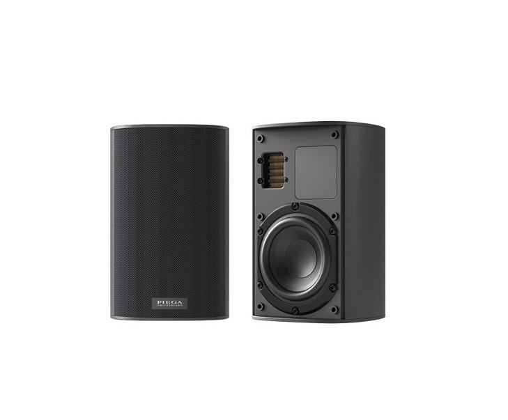 Акустика Piega Ace 30 Wireless RX Black (secondary speaker)