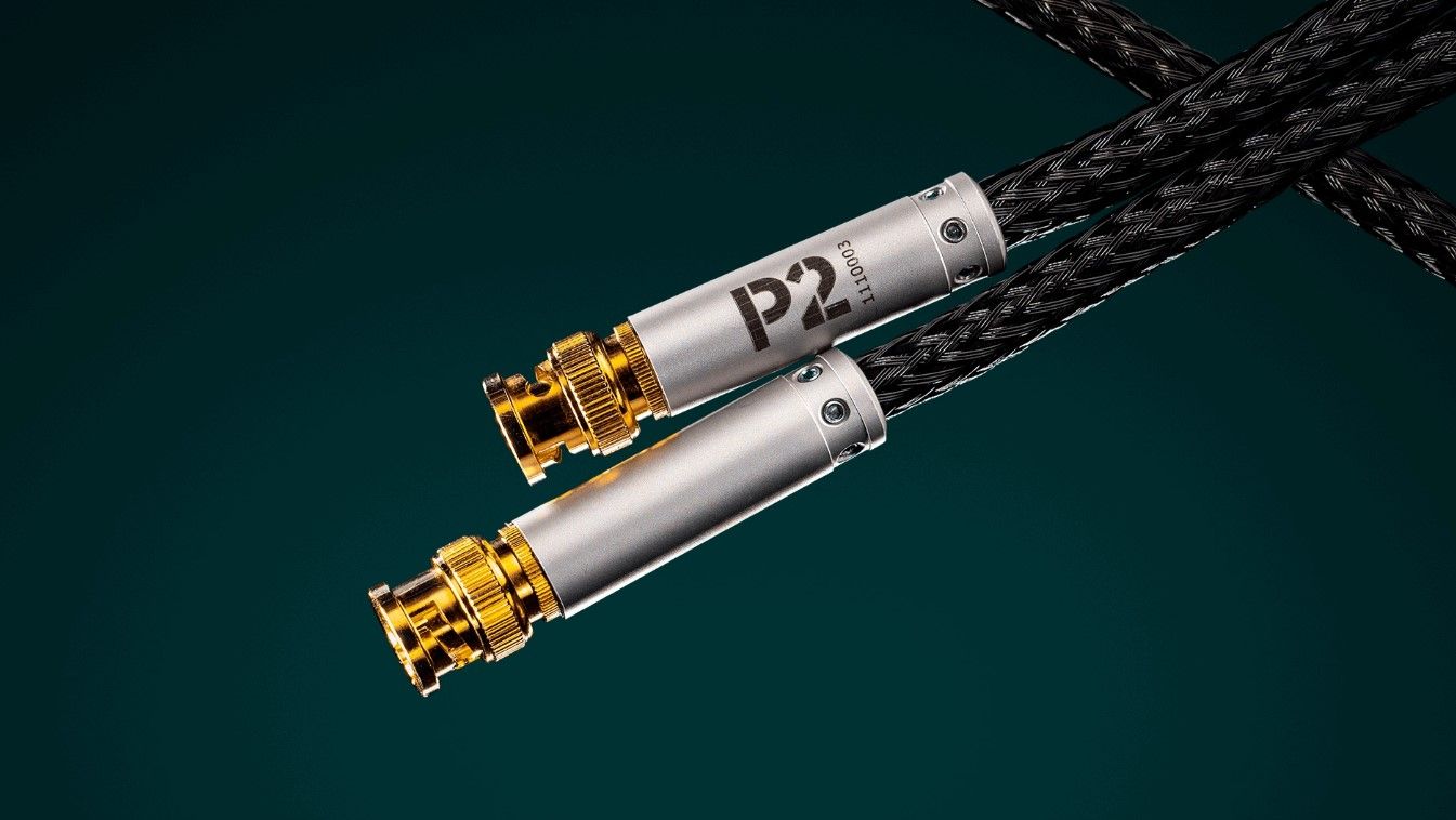 Цифровий кабель Ansuz Acoustics Digitalz P2 1.0m