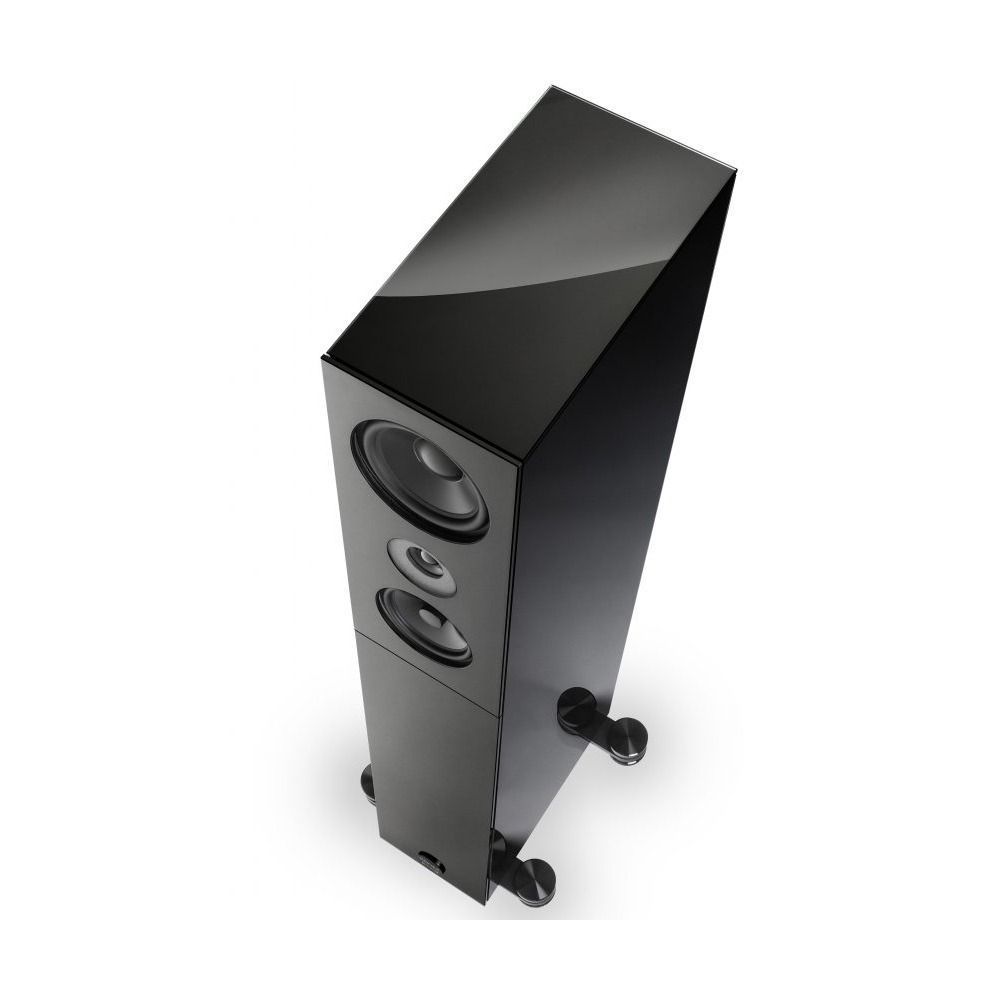 Акустика Audio Physic Codex Black