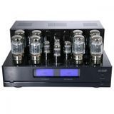 Стерео підсилювач потужності Cary Audio CAD-120S MkII Black