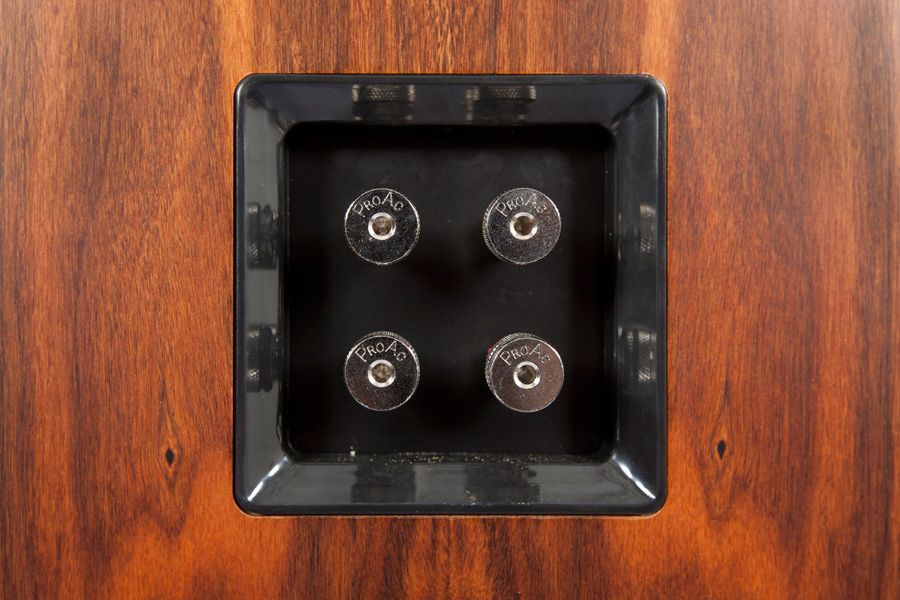 Напольная акустика ProAc Response D30 R Ebony