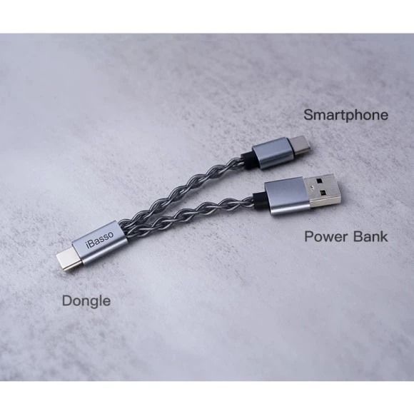 Кабель iBasso CB19 (2хUSB-C - USB-A) 10 см