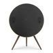 Акустика Bang & Olufsen Beoplay A9 4th generation, Brass Tone/Smoked Oak
