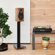 Полочная Акустика Sonus Faber Olympica Nova I Walnut