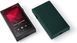 Чохол Astell&Kern AK SE300 Case Petrolio