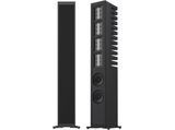 Підлогова акустика Piega Master Line Source 3 black