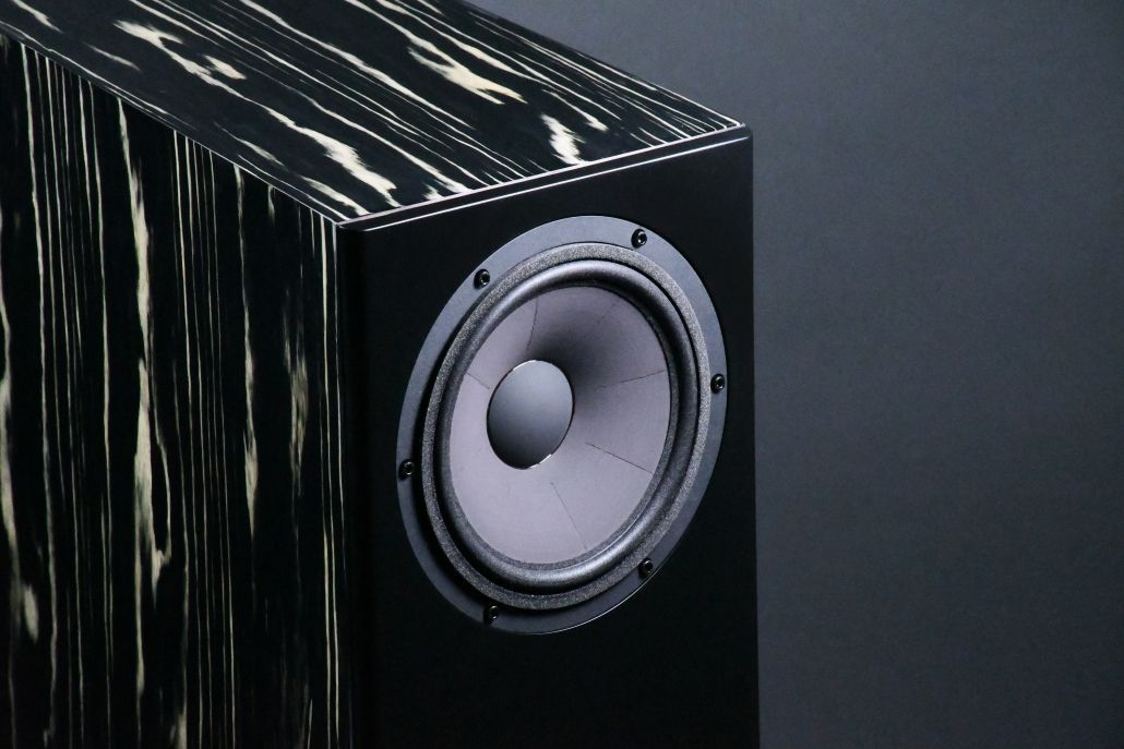 Акустика Davis Acoustics MV One Master Ebony
