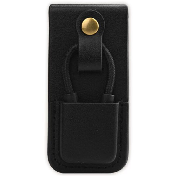 Чохол Lotoo PAW S1/S2 Case Black