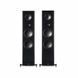 Підлогова акустика T+A Criterion S 2200 CTL Satin Black