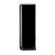 Акустика підлогова Focal Aria EVO X N 4 Black High Gloss