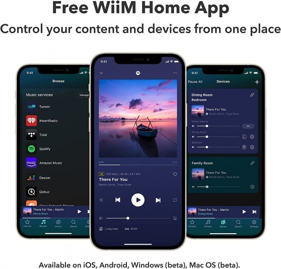 Стример WiiM Mini&nbsp;