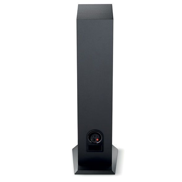 Напольная акустика Focal Chora 816 Dark Wood