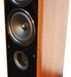 Підлогова акустика TAGA Harmony TAV-606F v.3 Walnut