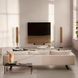 Телевизор Bang & Olufsen Beovision Harmony 88 OLED Smoked Oak