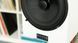Акустика Audio Physic Classic 3 Black Ash