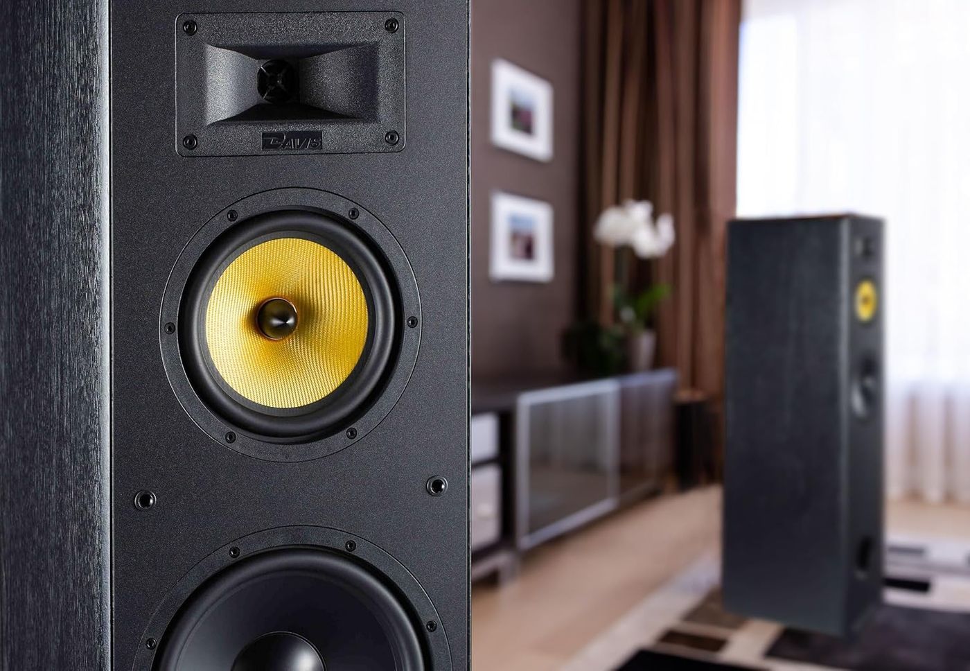 Акустика Davis Acoustics Dhavani MK2 Black Ash