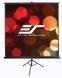 Проекційний екран Elite Screens T136UWS1
