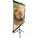 Проекционный экран Elite Screens T92UWH