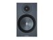 Полочная акустика MONITOR AUDIO Bronze 100 Black (6G)