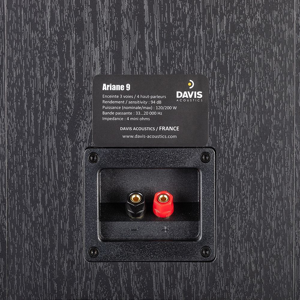 Акустика Davis Acoustics Ariane 9 Black