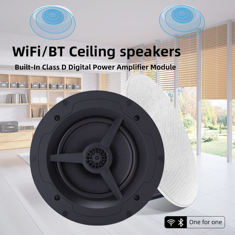 Встраиваемая акустика Cloudyx CS-2 Ceiling speaker