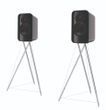 Акустика Q Acoustics Q CONCEPT 300 BLACK & ROSEWOOD (QA2730)