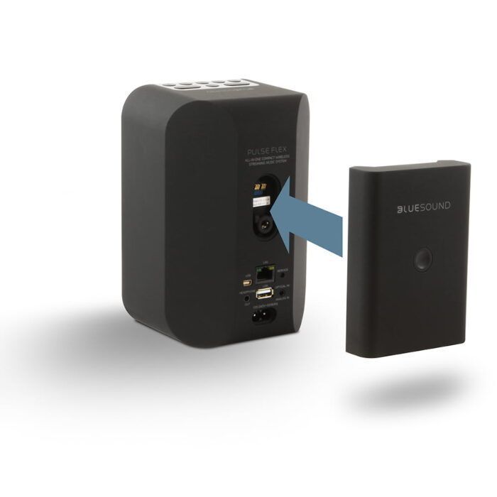 Акумулятор Bluesound BP100 для Pulse Flex Black
