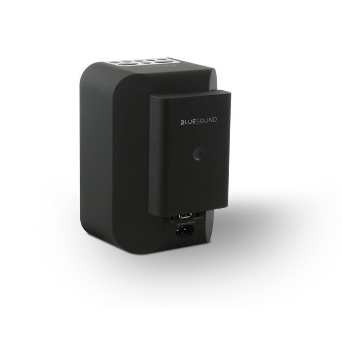 Акумулятор Bluesound BP100 для Pulse Flex Black