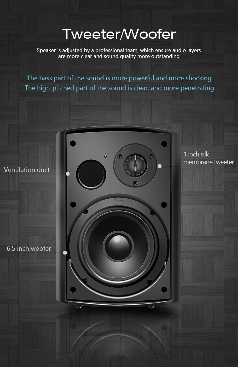 Настенная акустика Cloudyx CS-5 Wall mounted speaker