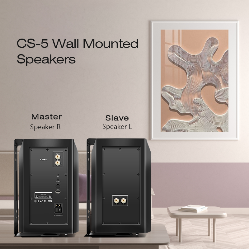 Настенная акустика Cloudyx CS-5 Wall mounted speaker