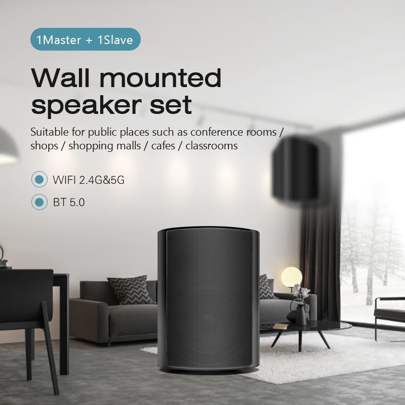 Настенная акустика Cloudyx CS-5 Wall mounted speaker