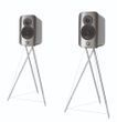 Акустика Q Acoustics Q CONCEPT 300 SILVER & EBONY (QA2735)