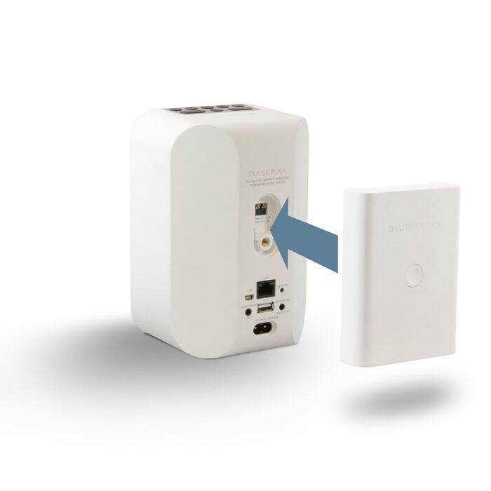 Акумулятор Bluesound BP100 для Pulse Flex White