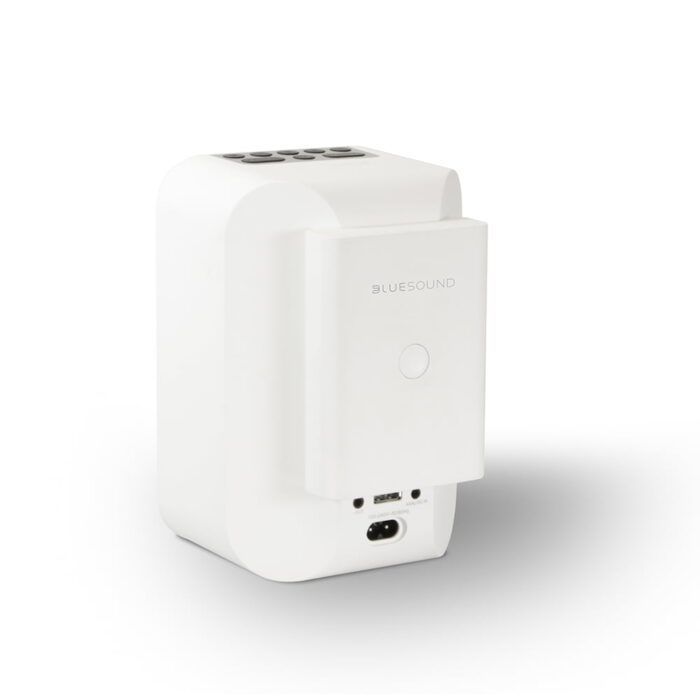Акумулятор Bluesound BP100 для Pulse Flex White