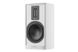 Акустика Piega Premium 301 Gen2 White