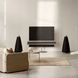 Телевизор Bang & Olufsen Beovision Eclipse LG 65 OLED Silver