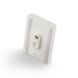 Акумулятор Bluesound BP100 для Pulse Flex White