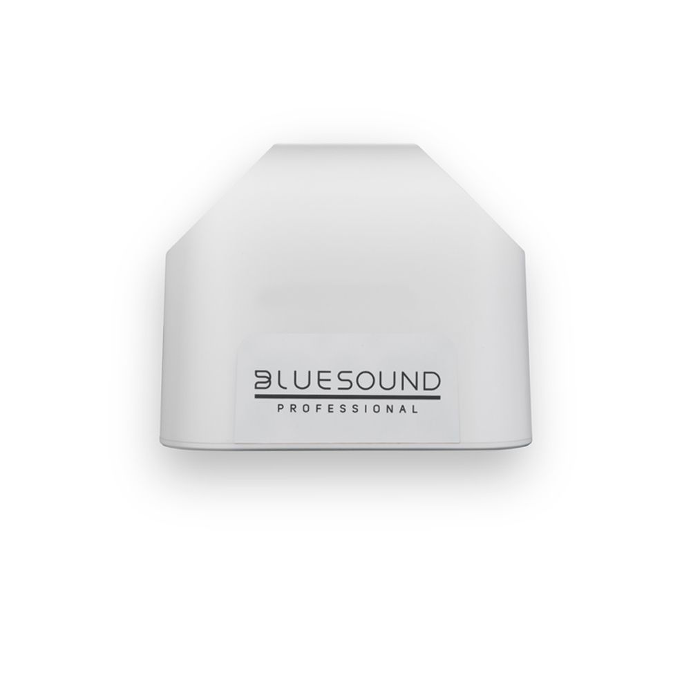 Беспроводная акустика BLUESOUND BSP125 White