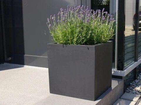 Вулична акустика Revox Botanic 70-4 Outdoor