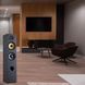 Акустика Davis Acoustics Ariane 5 Black