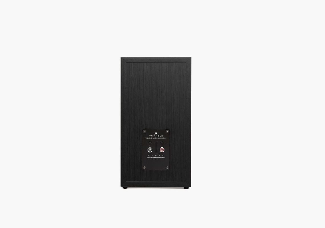 Акустична система Triangle Borea BR03 Light Oak