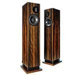 Підлогова акустика ProAc Response D20 R Ebony