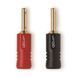 Роз'єм QED SCREWLOC ABS 4MM PLUG (QE1880)