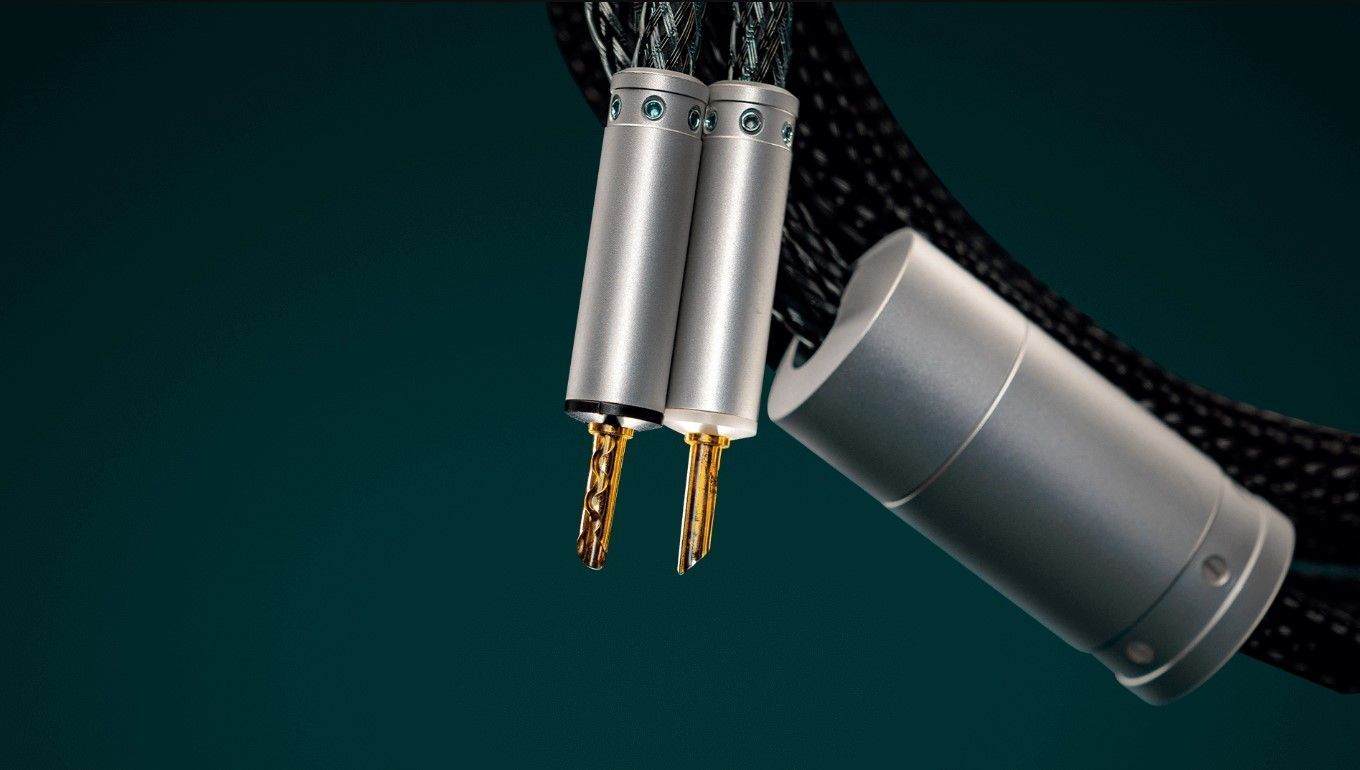 Акустический кабель Ansuz Acoustics Speakz P2 2.0m