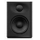 Активная Полочная Акустика Fiio SP3 BT Black