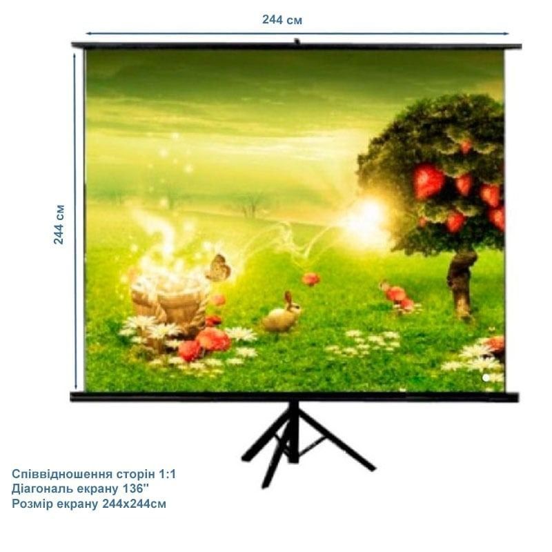 Проекционный экран ATRIA ECO TRM-AV-96 136" 244x244см