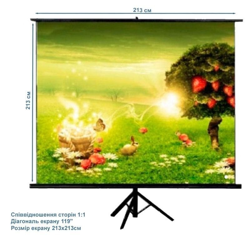 Проекционный экран ATRIA ECO TRM-AV-84 119" 213x213см