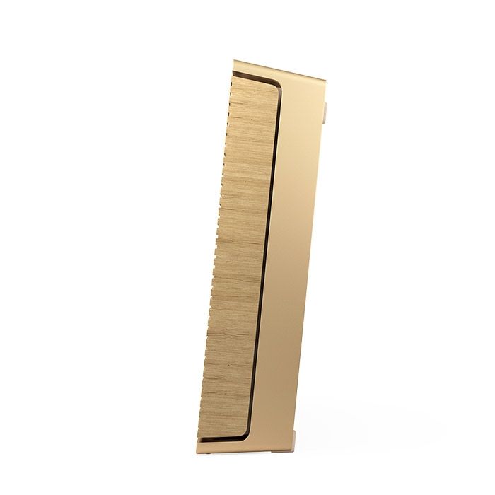 Портативная акустика Bang & Olufsen Beosound Level Gold Tone-Light Oak