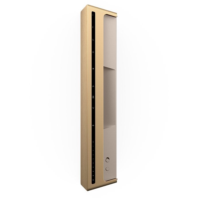 Портативная акустика Bang & Olufsen Beosound Level Gold Tone-Light Oak