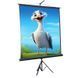 Проекционный экран ATRIA TRM-NTSC-84D 84" 170x127см